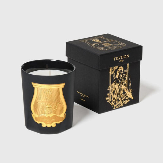 Cire Trudon Classic Candle - Mary