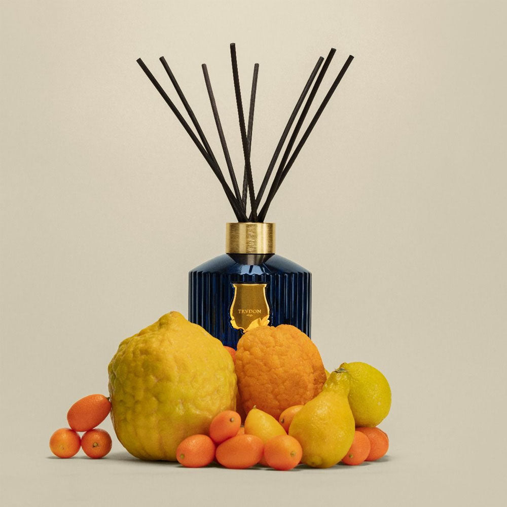 Trudon Le Diffuser - Reggio