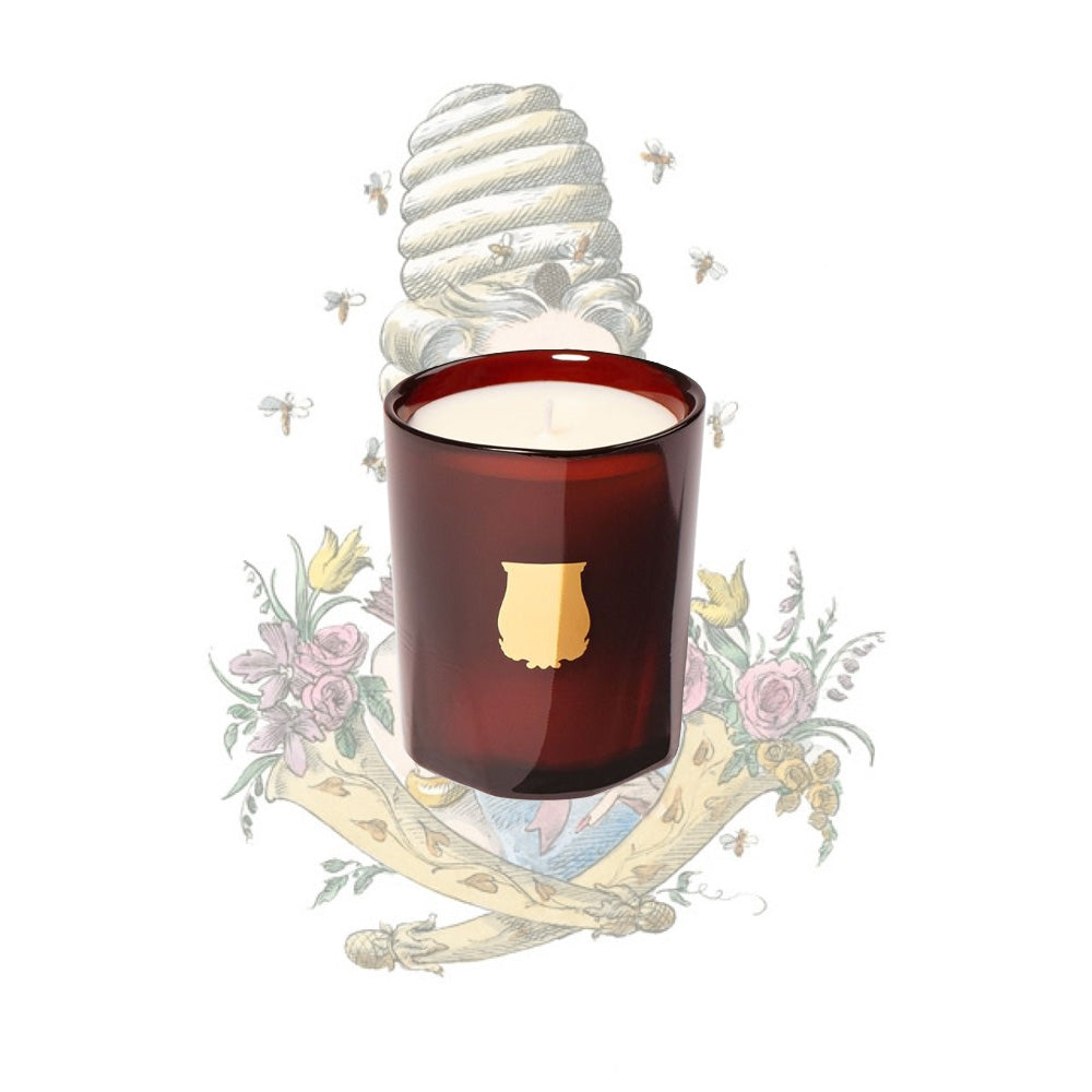 Trudon Petite Candle - Cire