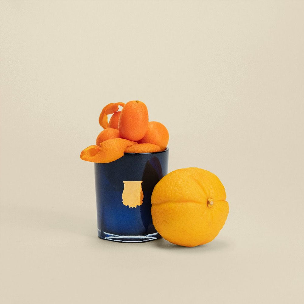 Trudon Petite Candle - Reggio