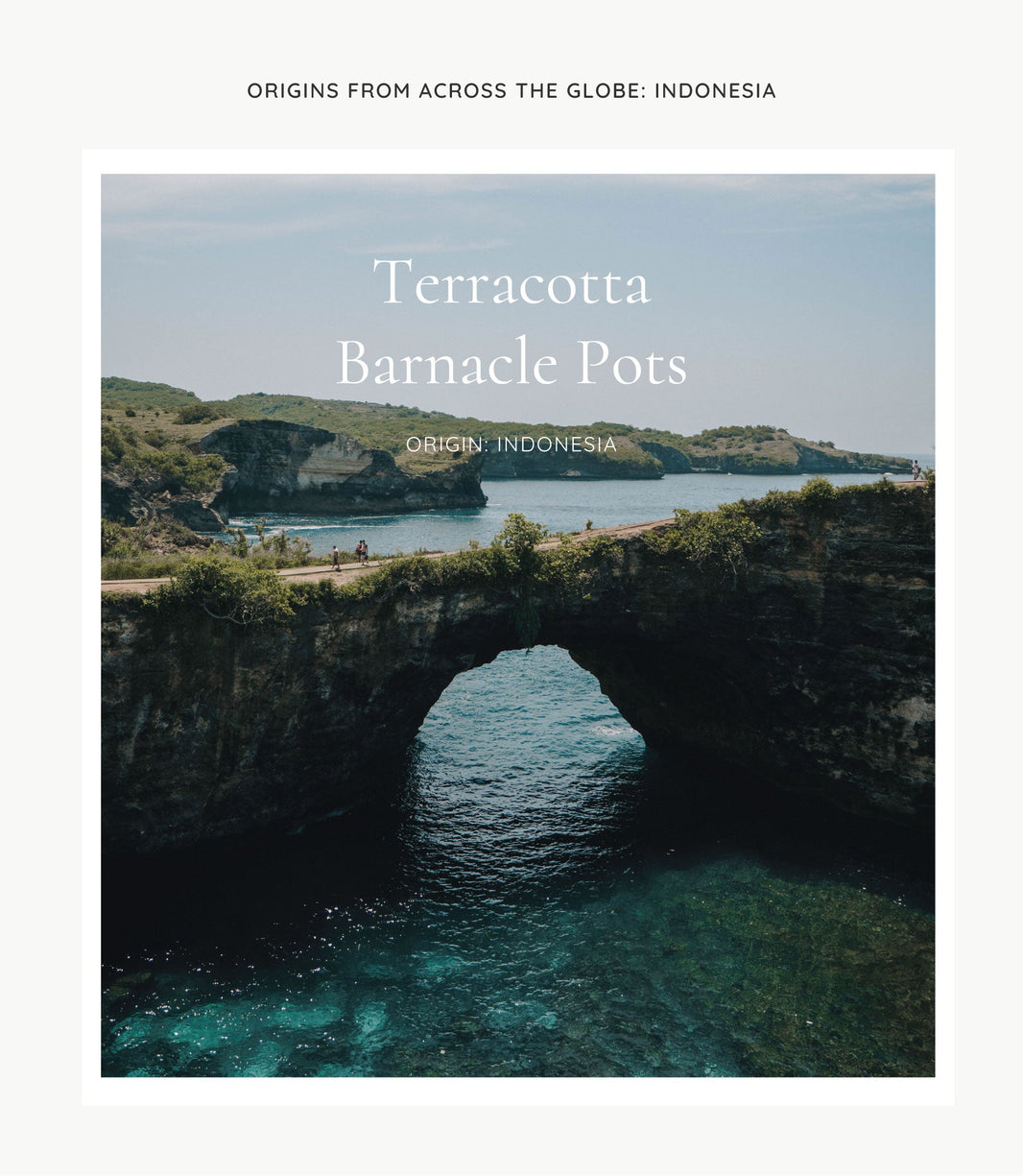 ORIGIN: INDONESIA; Barnacle Pots
