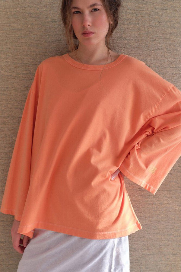 Fizvalley Long Sleeve T-Shirt - Vintage Apricot - American Vintage