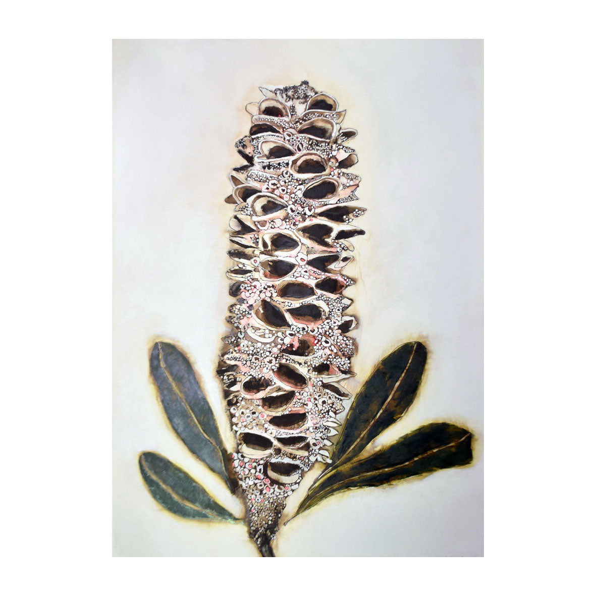 Banksia Pod 1