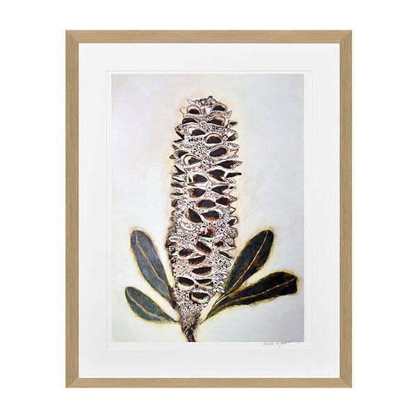 Banksia Pod 1