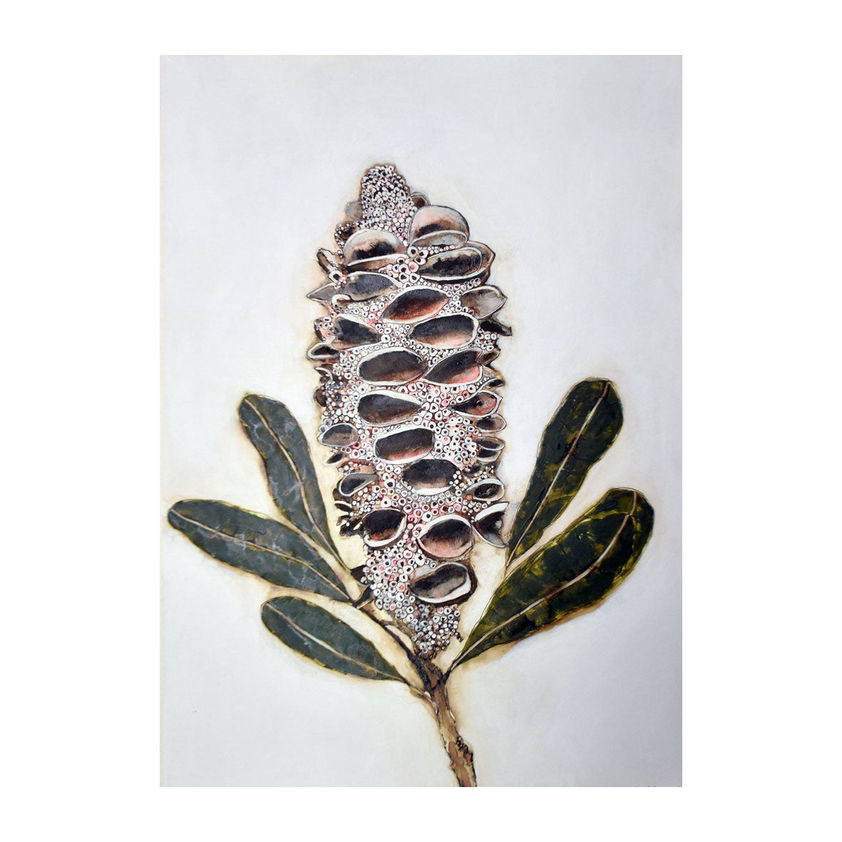 Banksia Pod 2