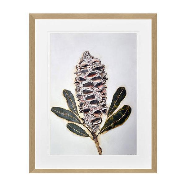 Banksia Pod 2