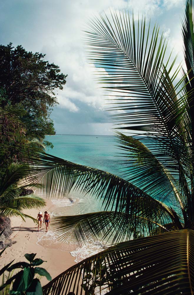 Barbados Beach Wall Art