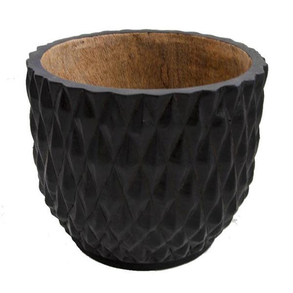 Durian Planter