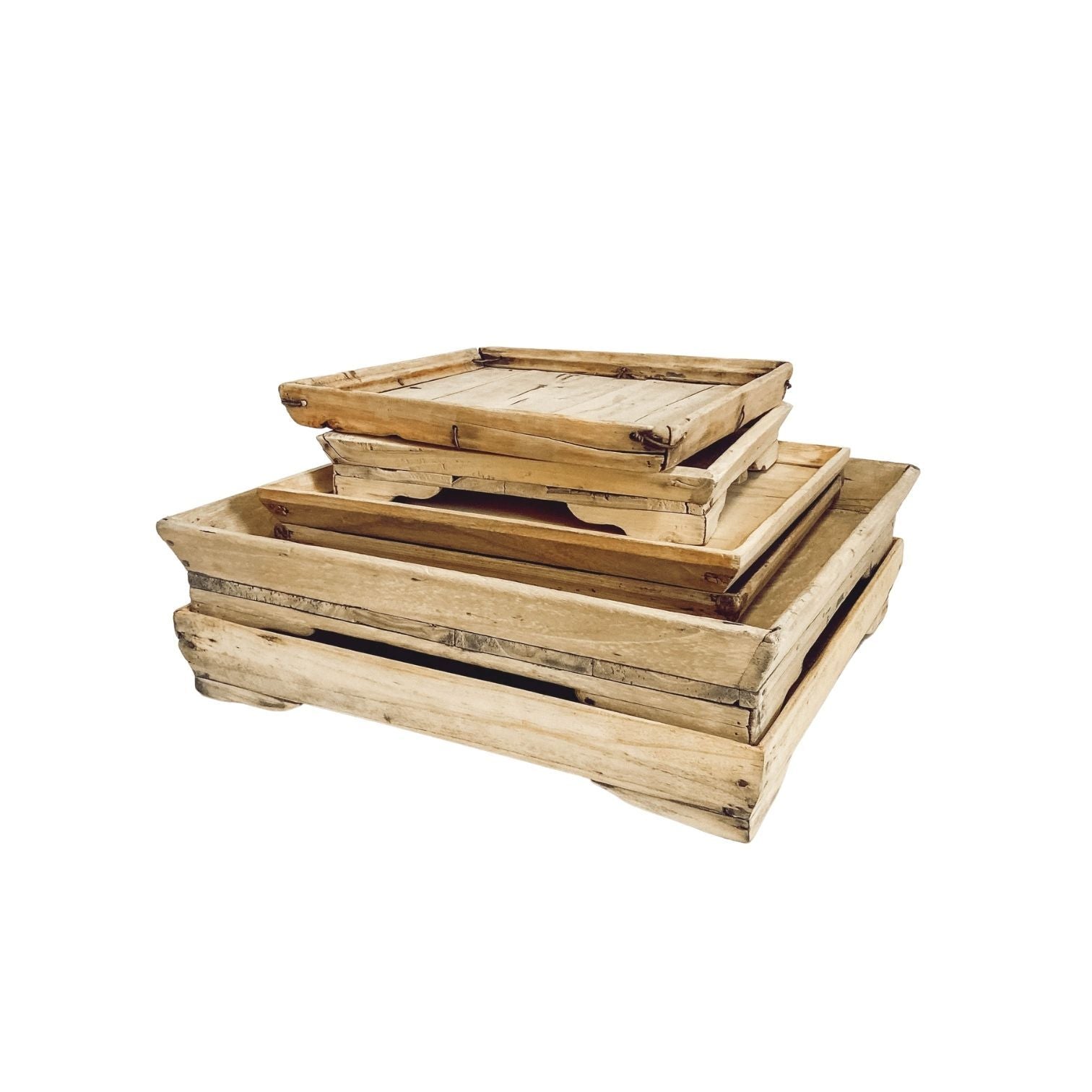 Elm Tray Asstd