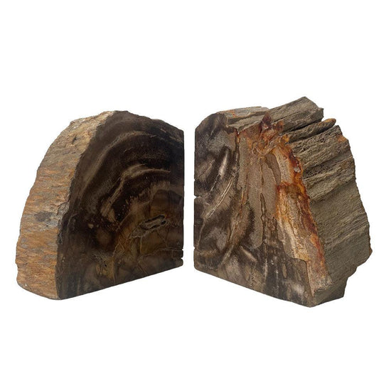 Fossil Bookend (set of 2)