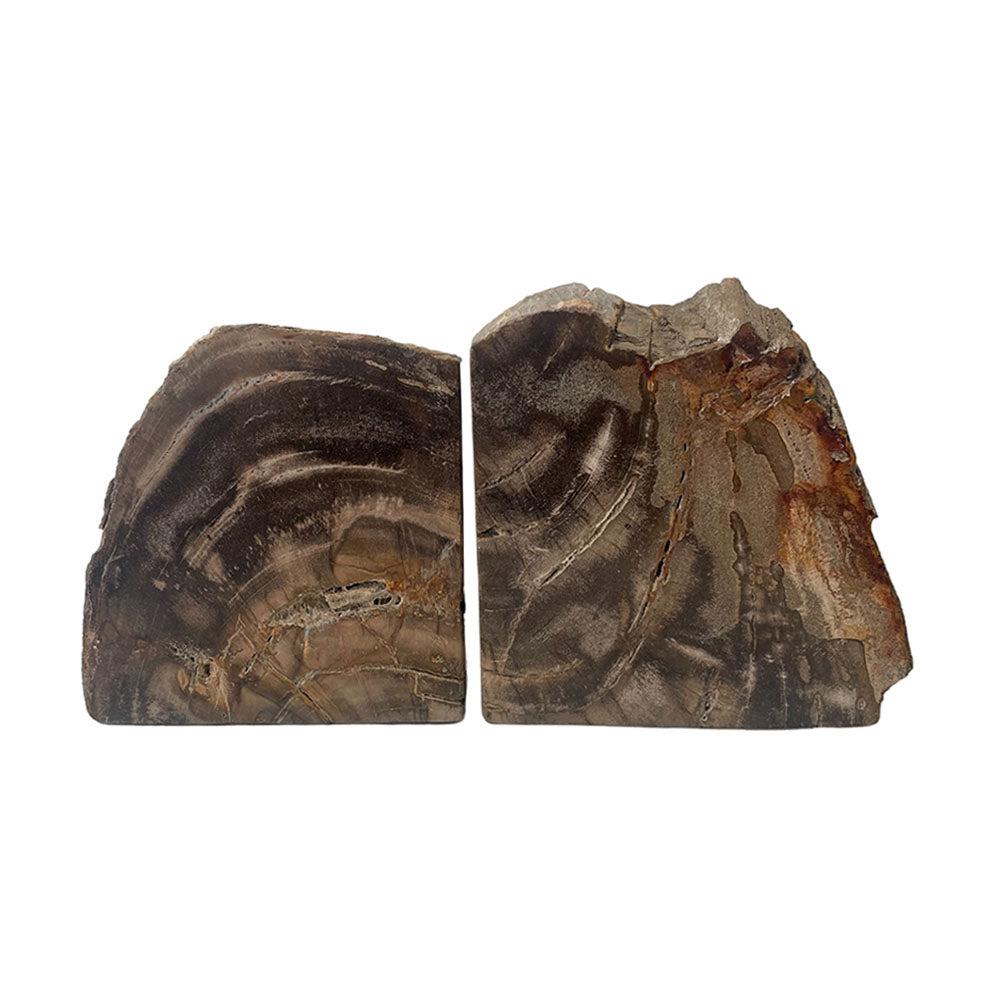 Fossil Bookend (set of 2)