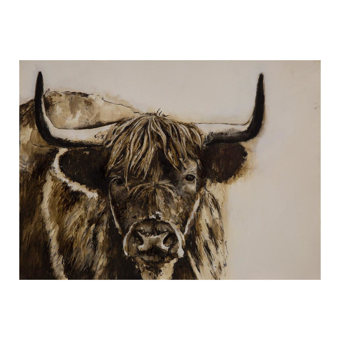 Highland Bull