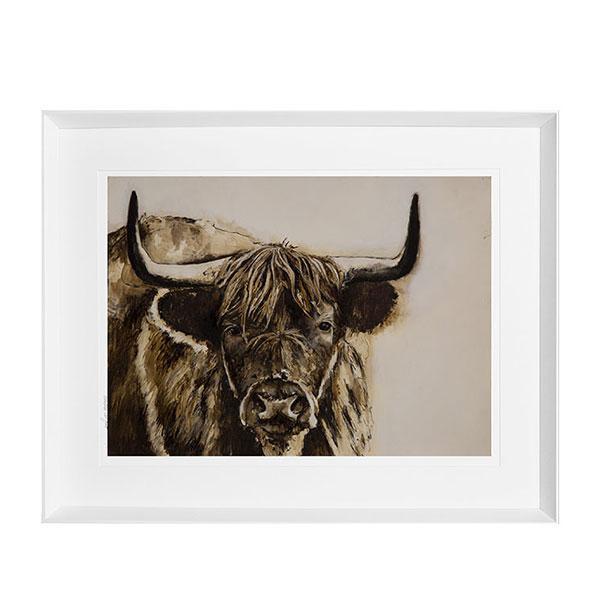 Highland Bull