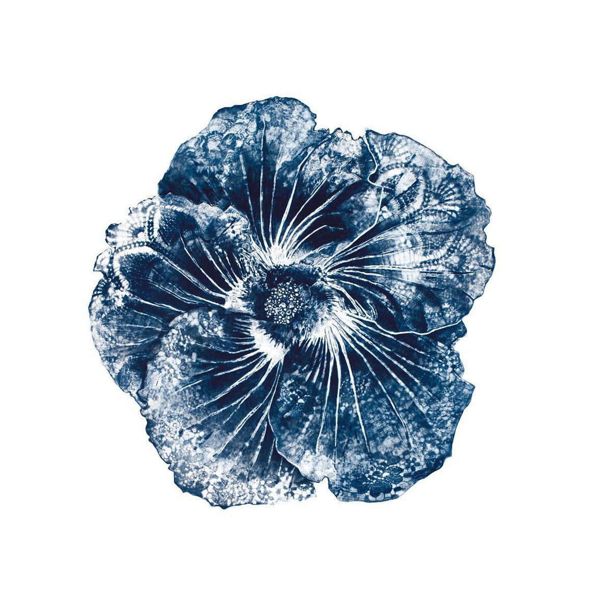 Indigo Summer 1