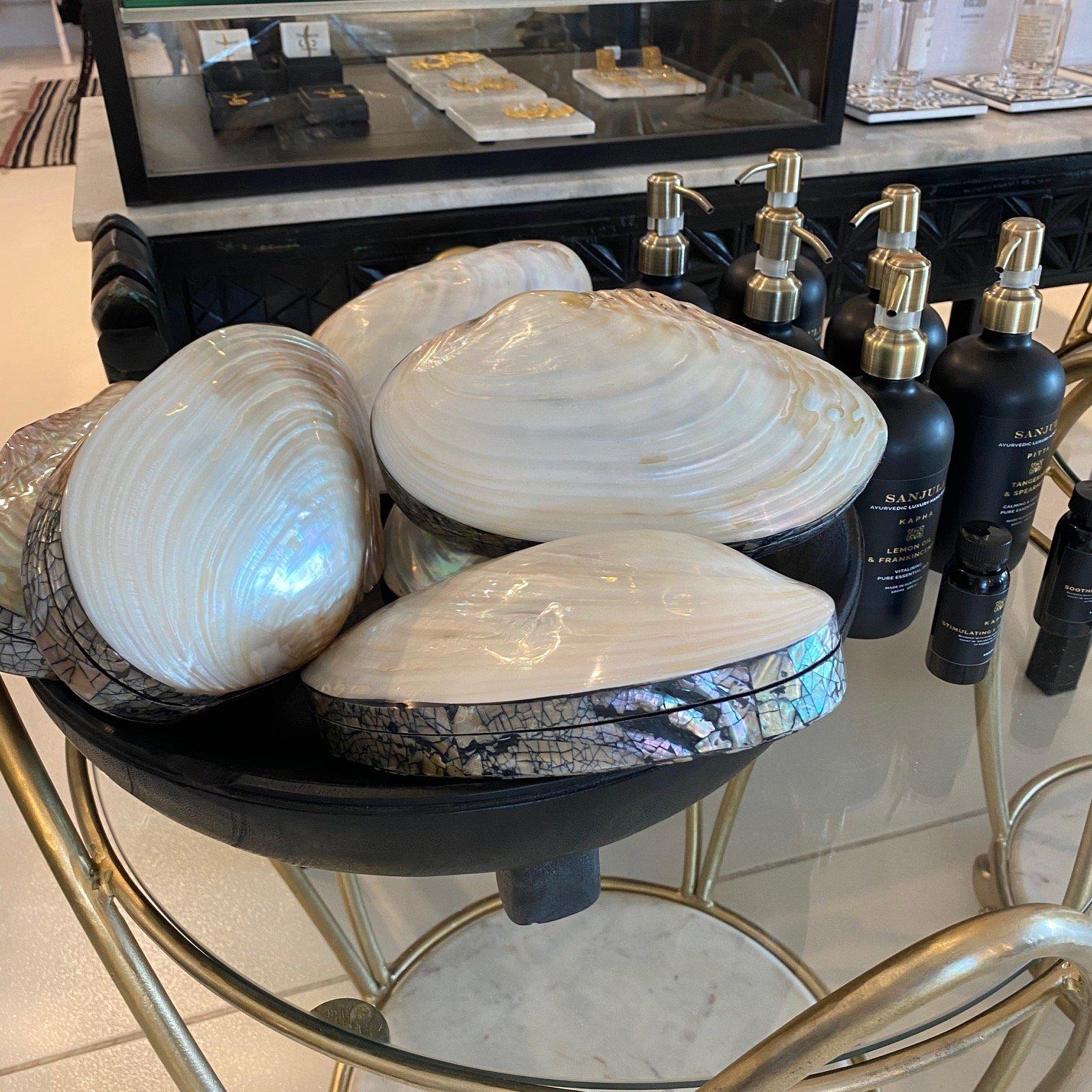 Mother of Pearl Shell Clutch or Jewellery Box - Large