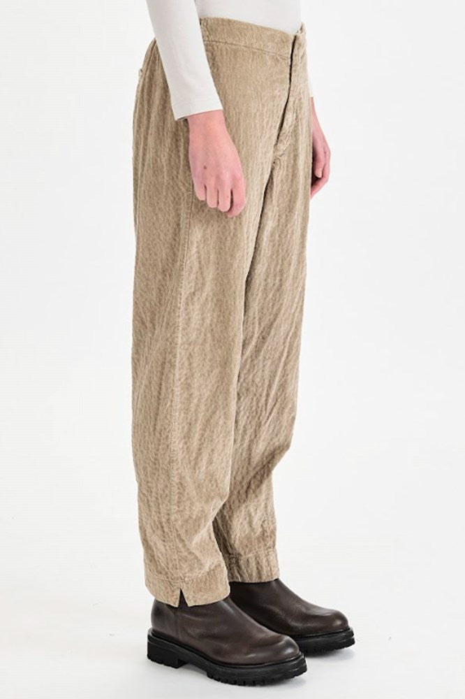 Cord Slim Pant - Camel - Transit