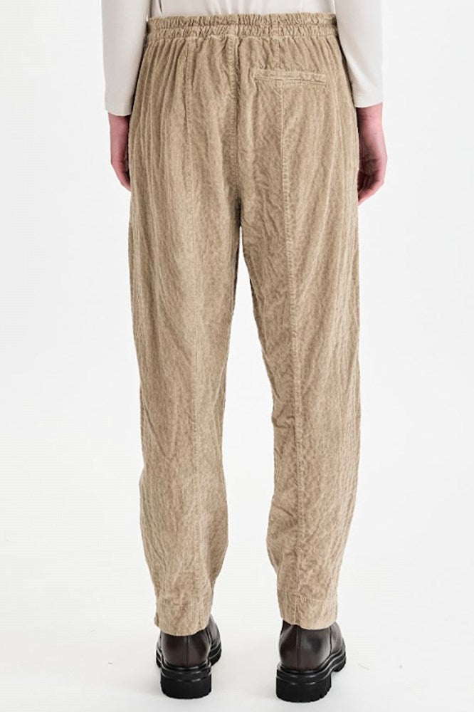 Cord Slim Pant - Camel - Transit