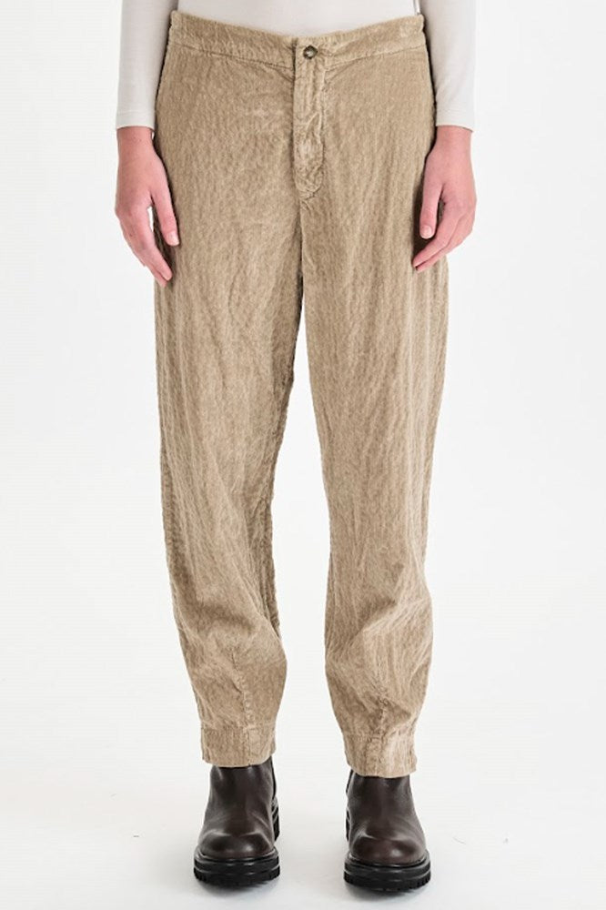 Cord Slim Pant - Camel - Transit
