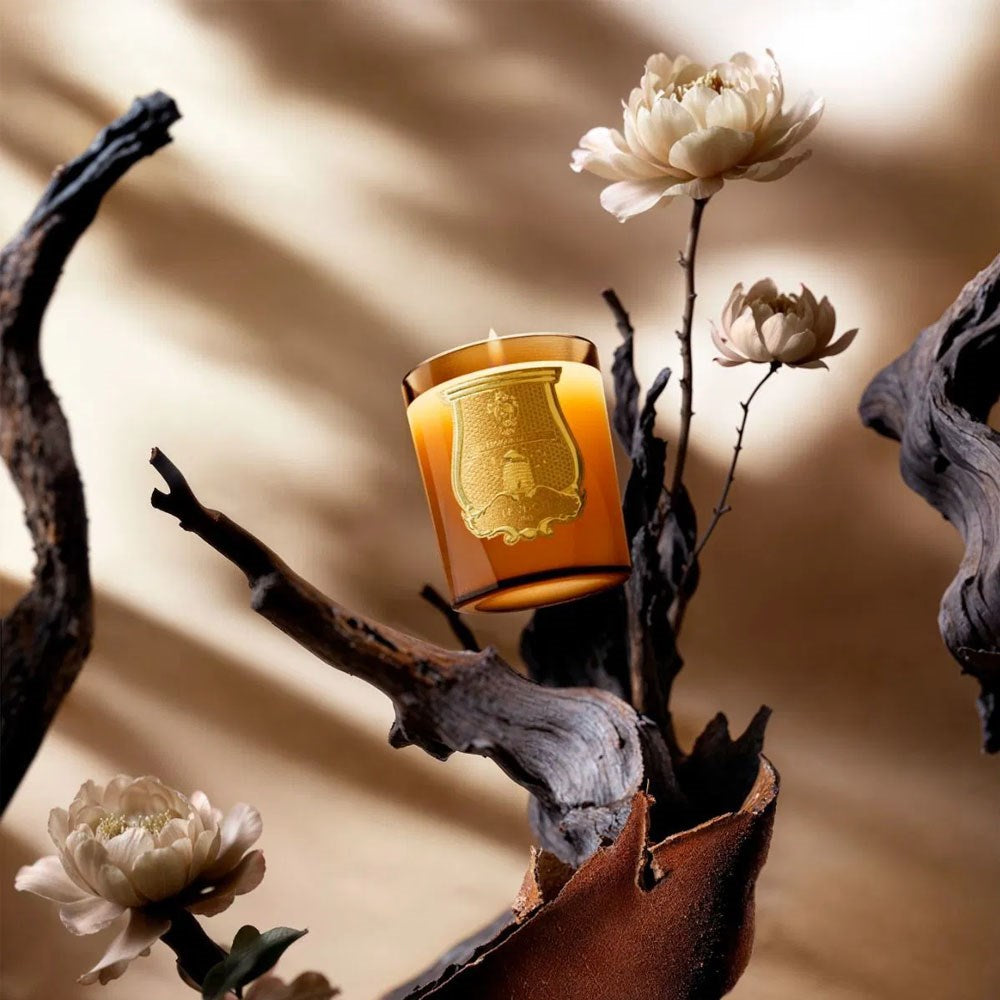 Trudon Classic Candle - Altair