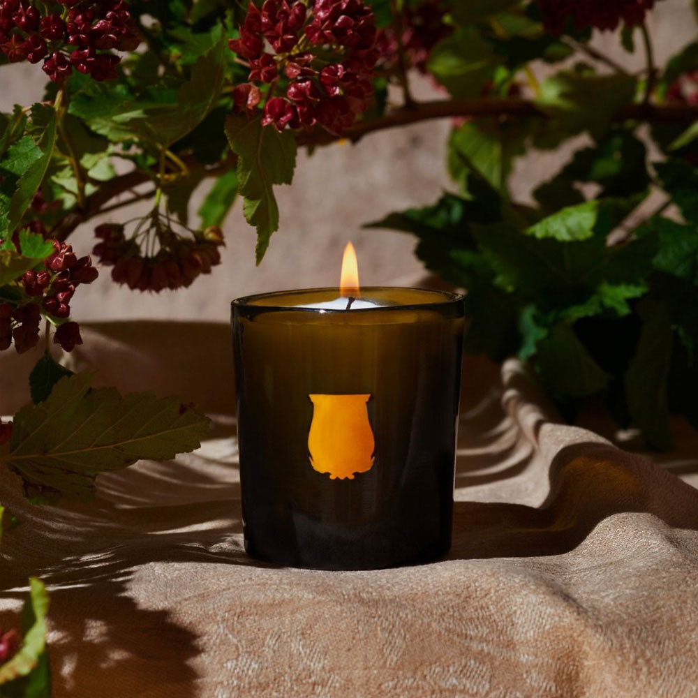 Trudon Petite Candle - Cyrnos