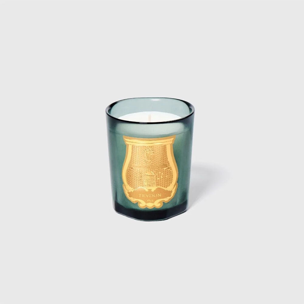 Trudon Petite Candle - Figuerie