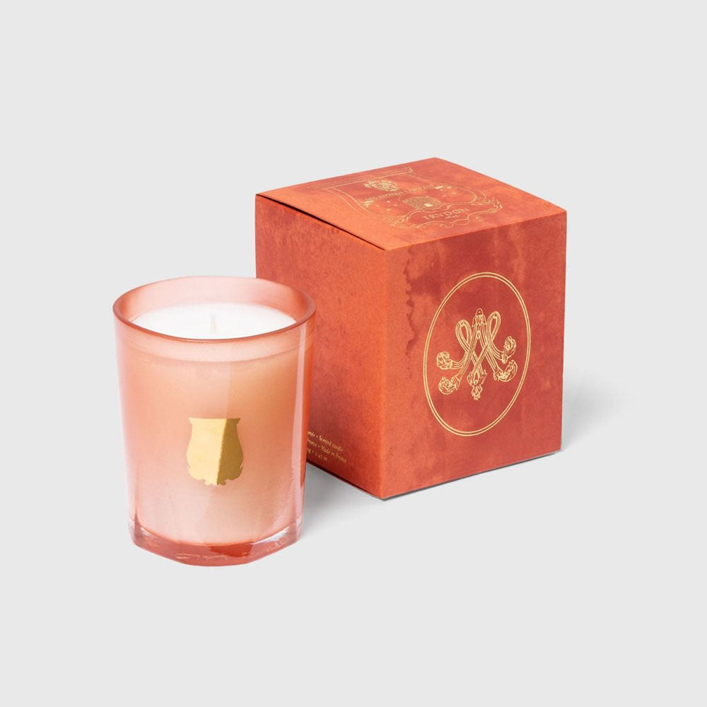 Trudon Petite Candle - Tuileries