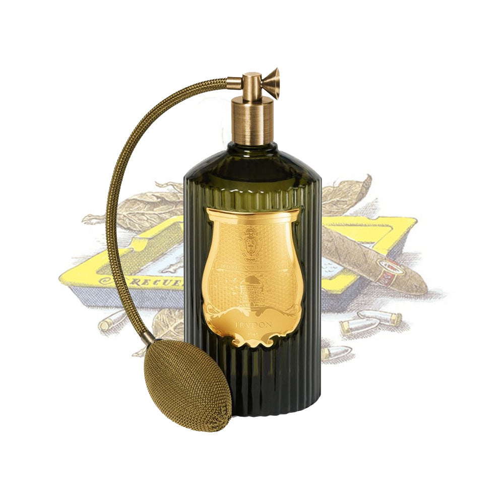 Trudon Room Spray - Ernesto