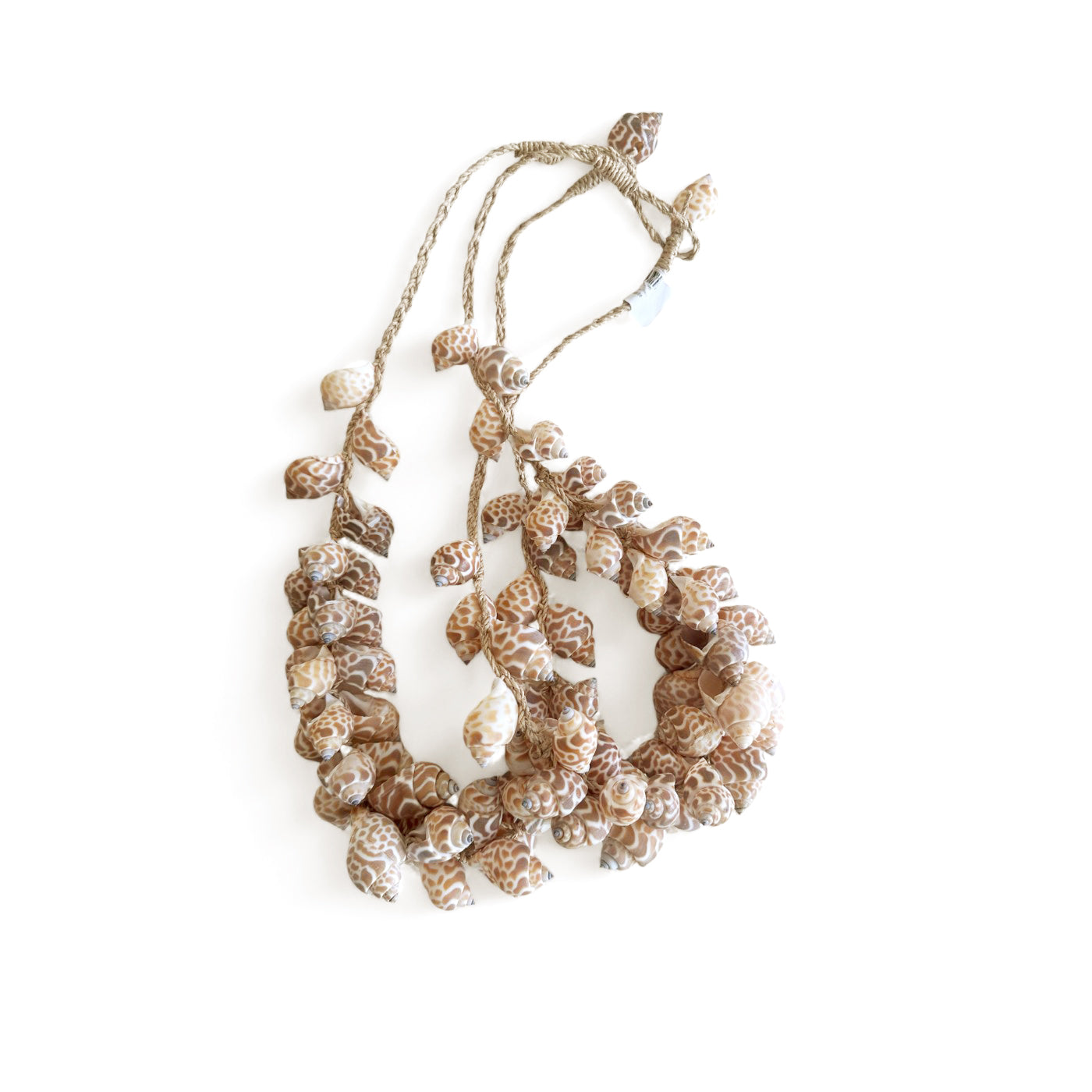 Tulip Shell Necklace