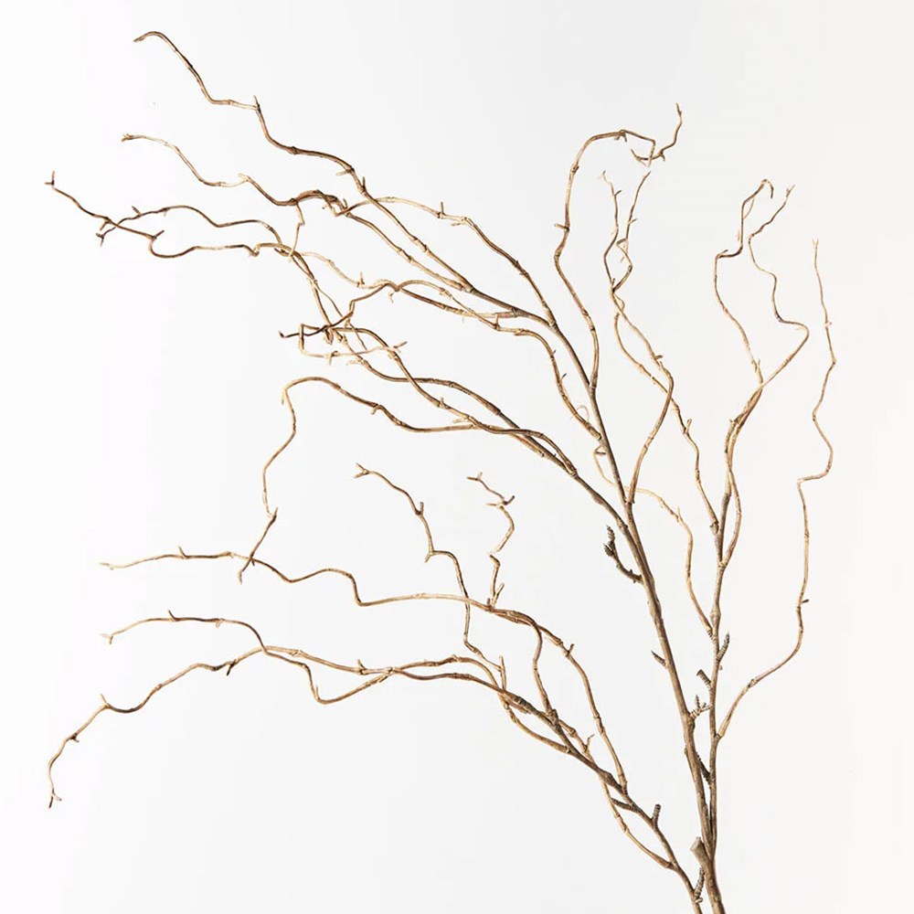 Twig Curly Willow Spray