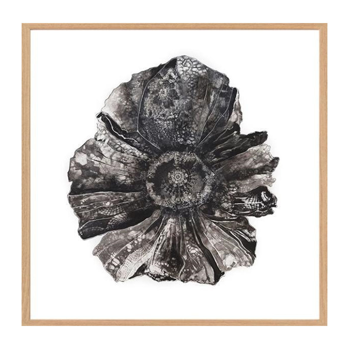 Vintage Poppy 1